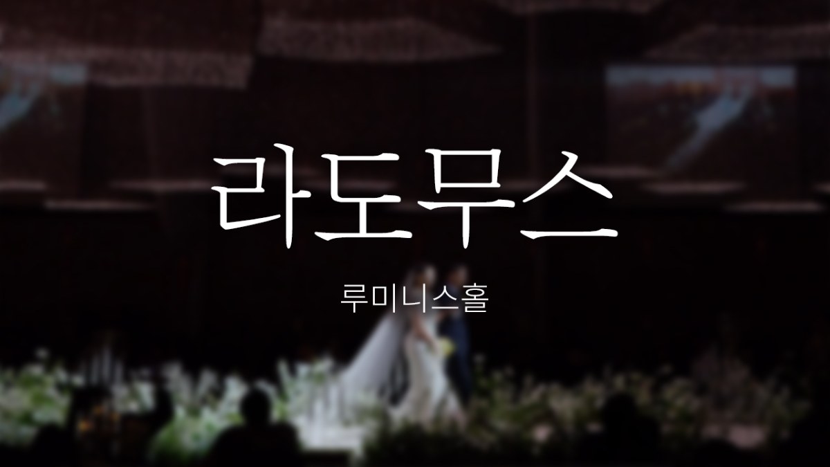 라도무스 | 루미니스홀 | 스탠다드 | 대표촬영 | 뮤직비디오